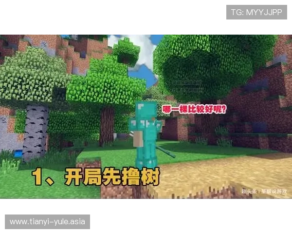 PG娱乐备用网址大全使用指南详解让新手玩家也能轻松安全登录游戏平台